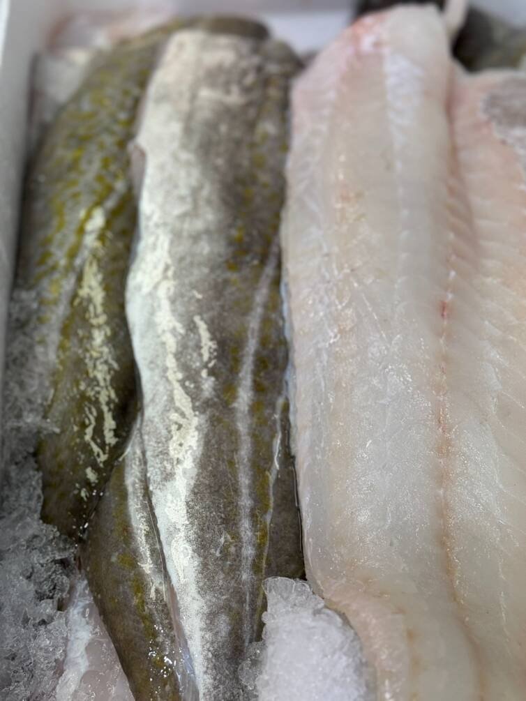 Cod Fillet