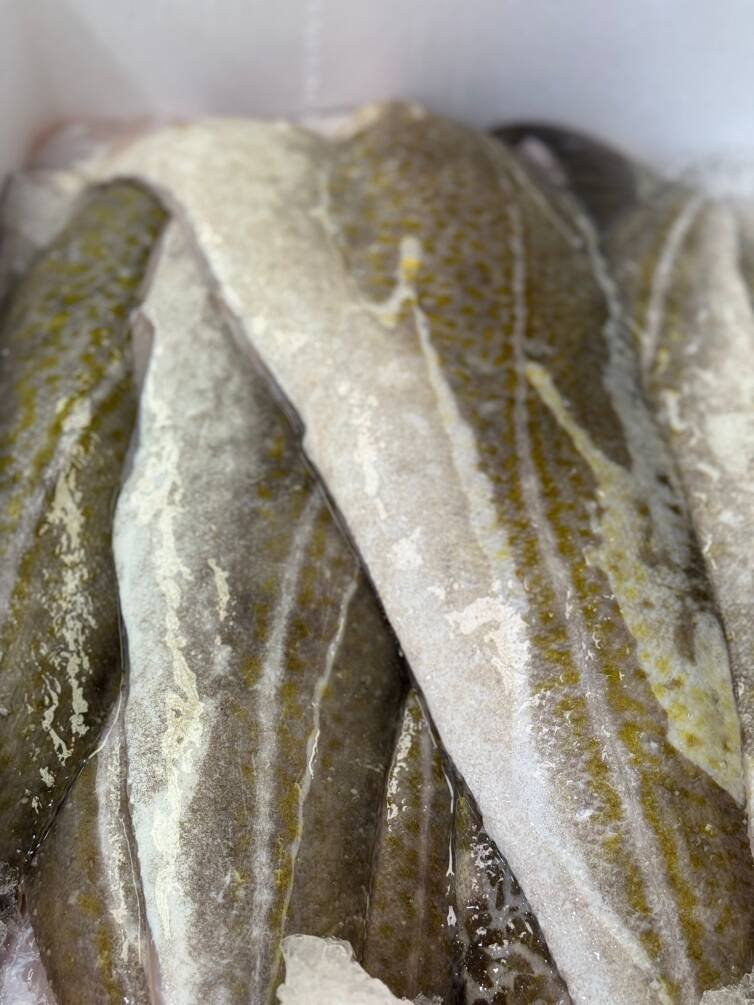 Cod Fillet - Image 2