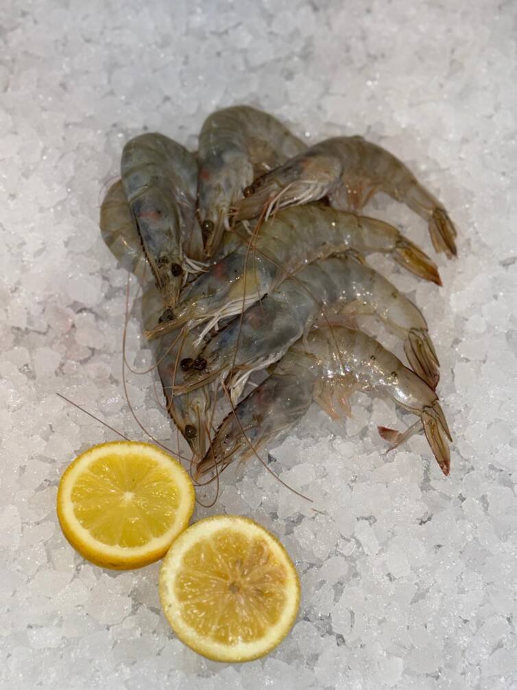 King Prawn