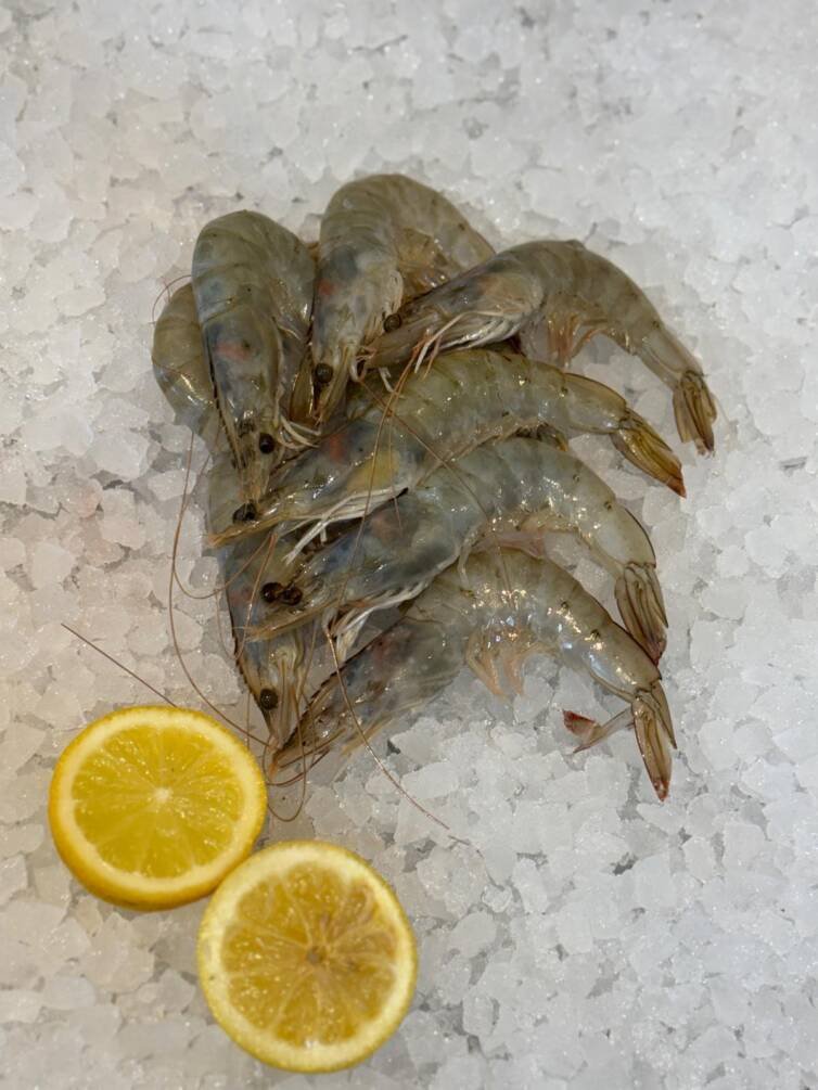 King Prawn - Image 2