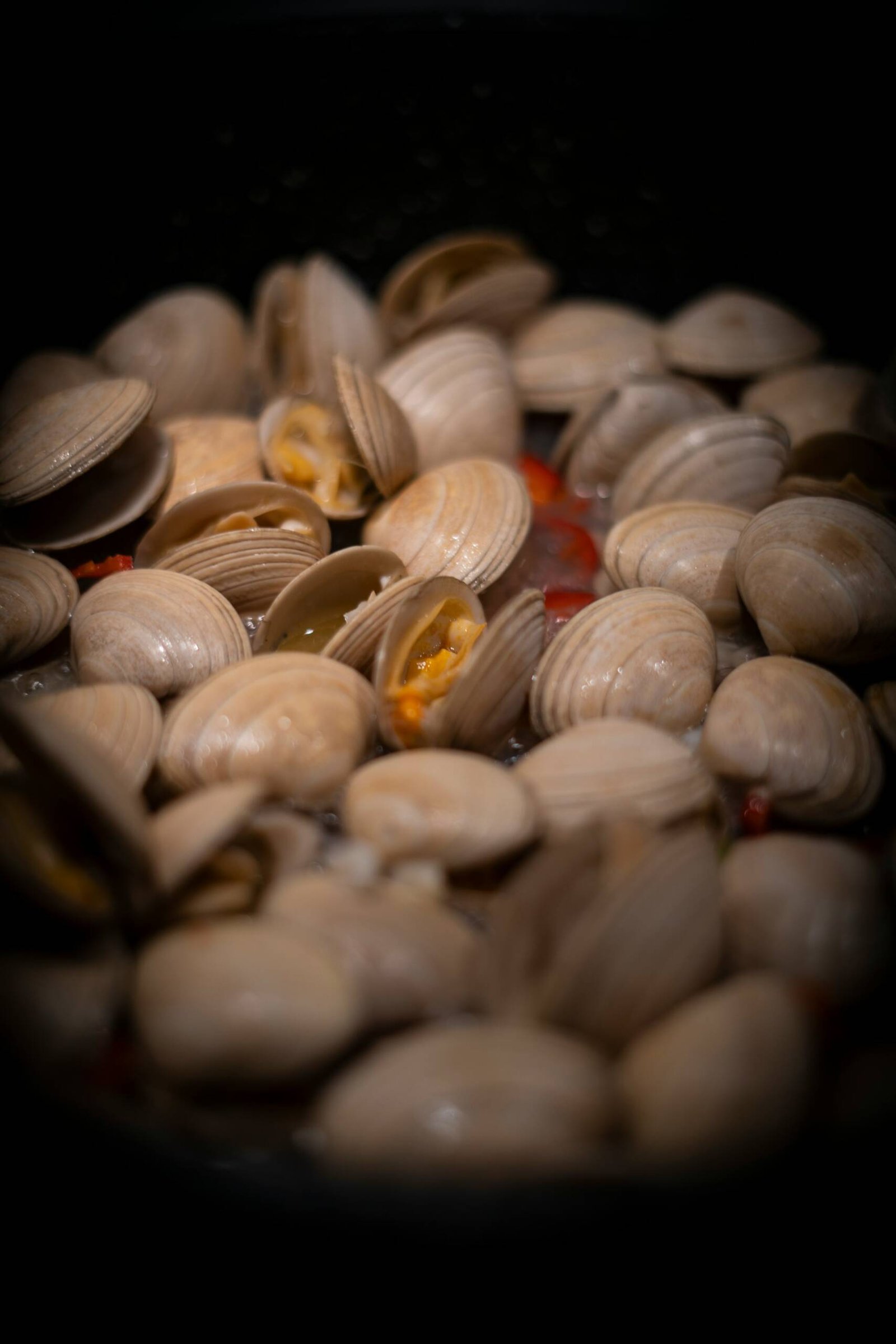 Clams - Image 3